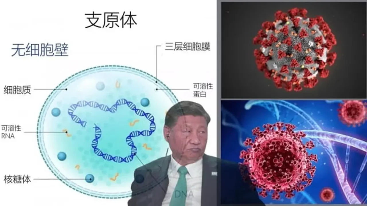 習近平「未罪己」與正月裡「雷打雪」 (圖/視頻)