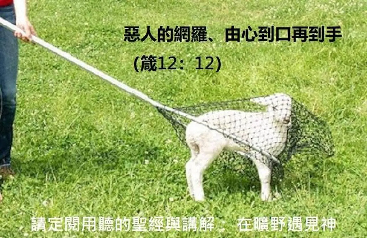 惡人的網羅、由心到口再到手（箴12：12）