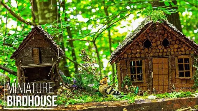 I Built a DIY Miniature House for My Birds! - 8K | Mr Wild Nature