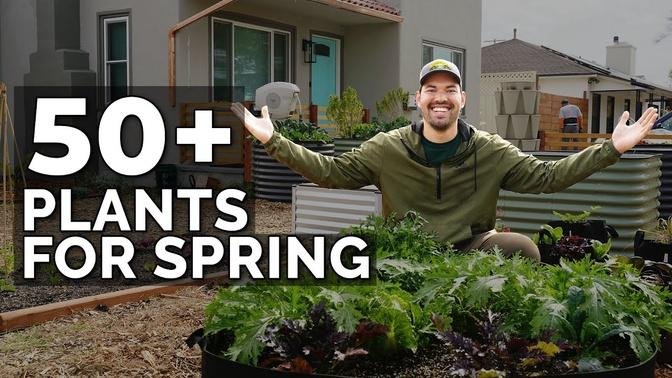 50+ Plants I'm Growing In My Spring Garden 🌱 🌷 🥕