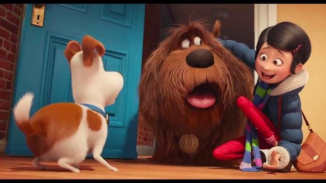 THE SECRET LIFE OF PETS Trailers