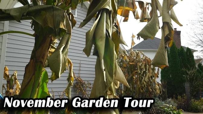 November Garden Tour || Cold Damaged Garden