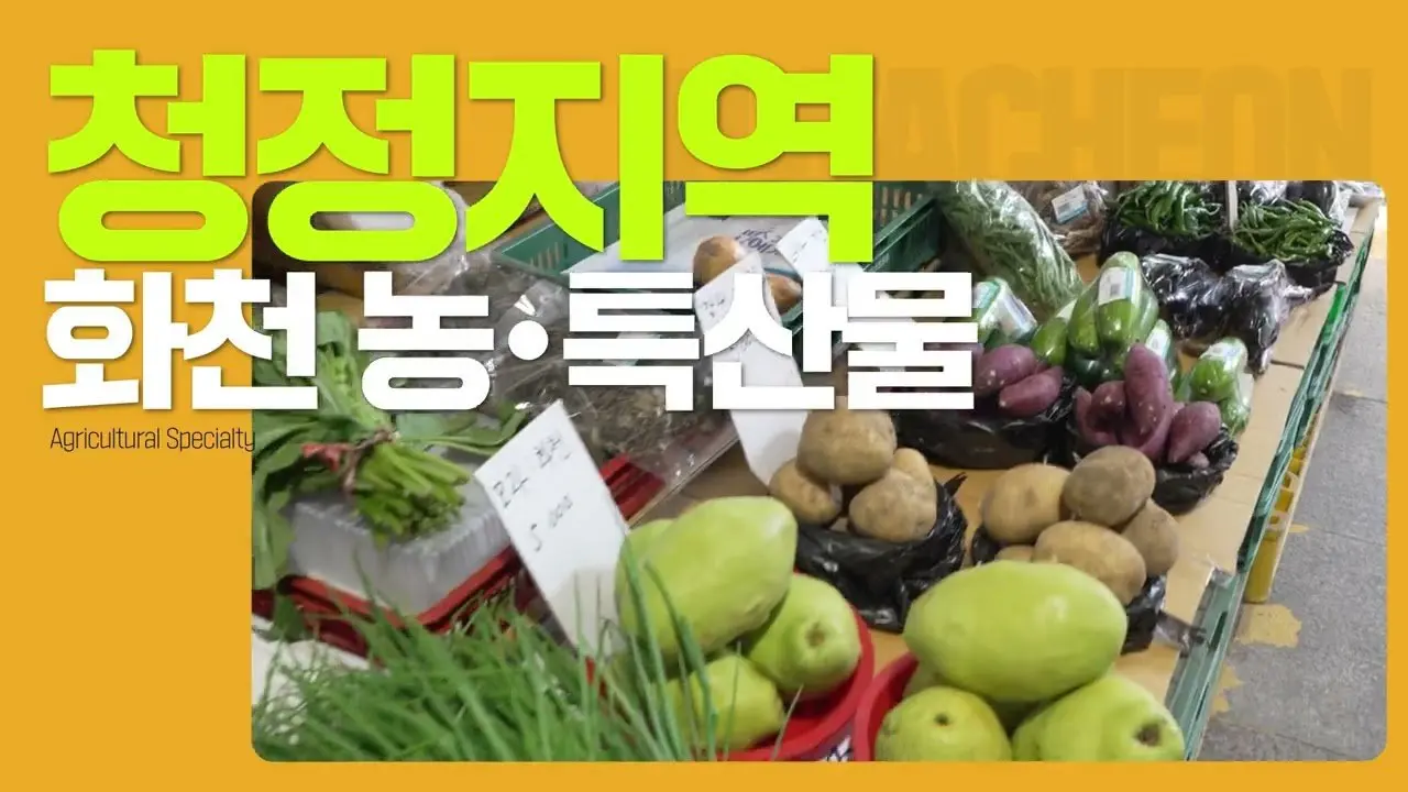 화천 시티투어 타이포 홍보영상