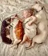 Cute life