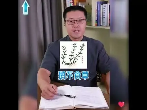 等了很久的鼻炎方终于来了｜【老安谈健康】