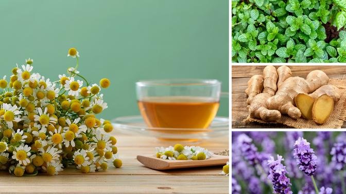 4 Best and Safest Herbs for Headache Relief (Plus Tea Recipes)