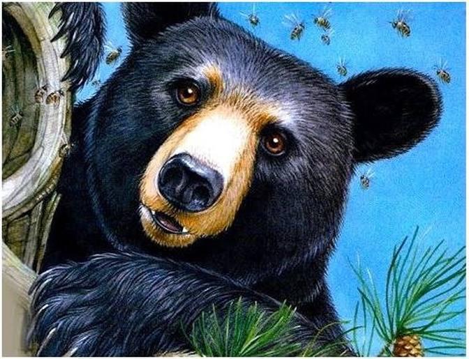 Bears Are Curious by Joyce Milton