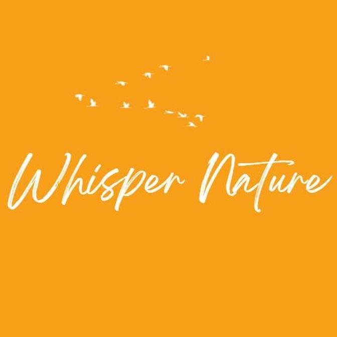 Whisper Nature