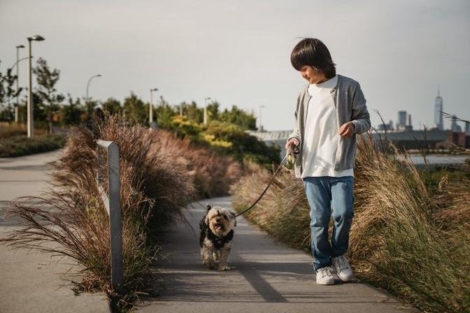 Don’t Neglect Walking Your Dog – It’s More Important Than You Think