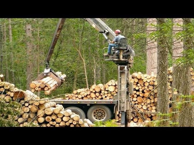  Fastest Wood Logging - Best Forestry & Logging Equipment