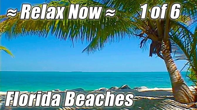 KEY WEST _ FLORIDA BEACHES #1 Relaxing Ocean Sounds Sleep Beach video Wave sound sunset relax.