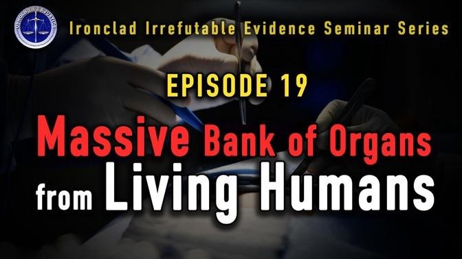 Episode 19: Evidence Seven, Eight and Nine of the Existence of an Enormous Living Human Organ Donor 