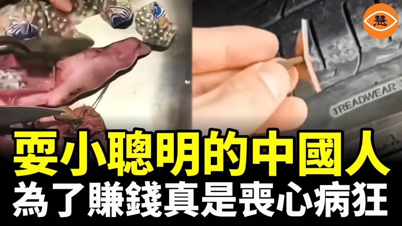 耍小聰明的中國人，為了賺錢真是喪心病狂，各種造假太缺德了