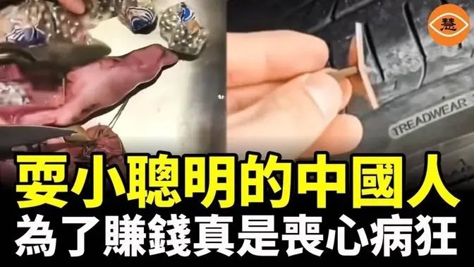 耍小聰明的中國人，為了賺錢真是喪心病狂，各種造假太缺德了