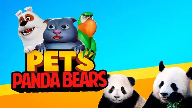 Pets: Panda Bears