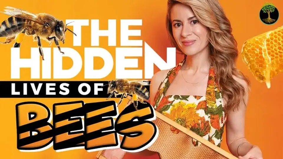 Las Vidas Ocultas de las Abejas | Erika Thompson