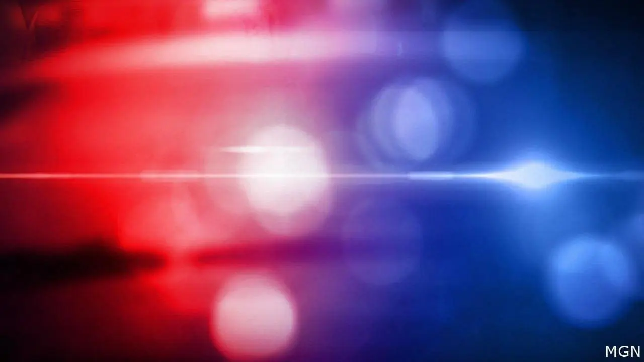 Two Children Dead After Vehicle Crashes into Birthday Party Scene in Michigan