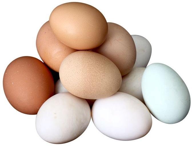 Eggs Market Size, Share, Growth and Future Trends, 2032