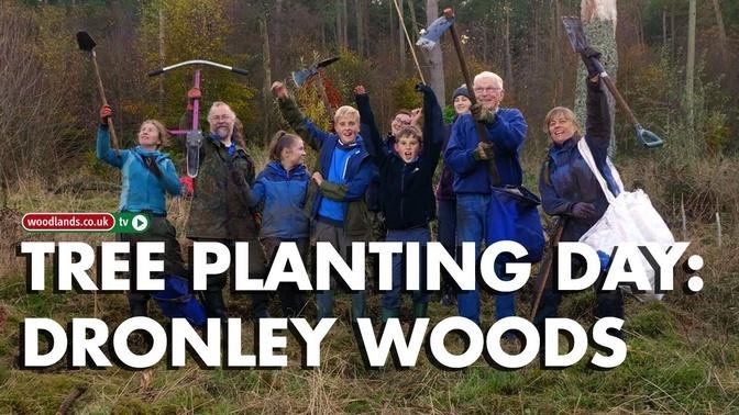 Tree Planting Day At Dronley Woods