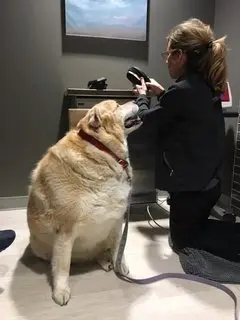 Kai at one of his weight-loss training sessions. (Courtesy of Pam Heggie)