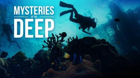 S1E37 Tek Wrecks
