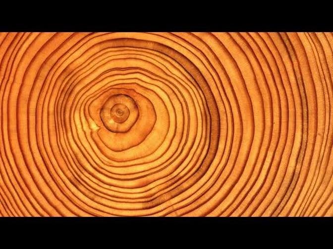 Introduction to Dendrochronology
