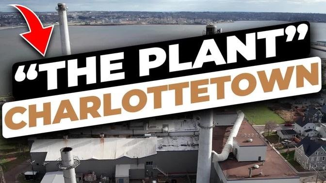 The Plant Charlottetown | neat things to see in PEI