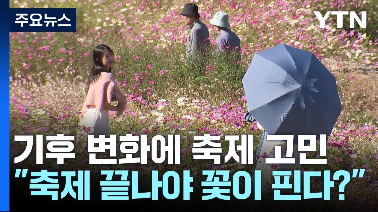 "축제 끝나야 꽃이 핀다?"...기후 변화가 던져준 또 하나의 고민 / YTN