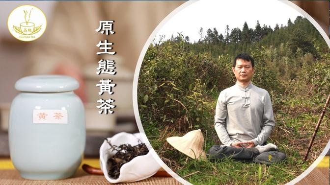 【茶缘茶疗】黄茶为何很难制作？