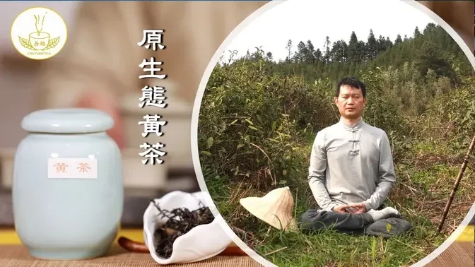 【茶缘茶疗】黄茶为何很难制作？