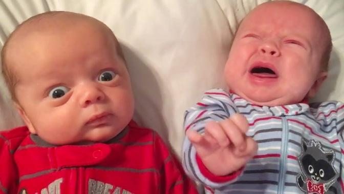Adorable Twin Baby Videos everyone will laugh while watching them - Funniest Home Videos