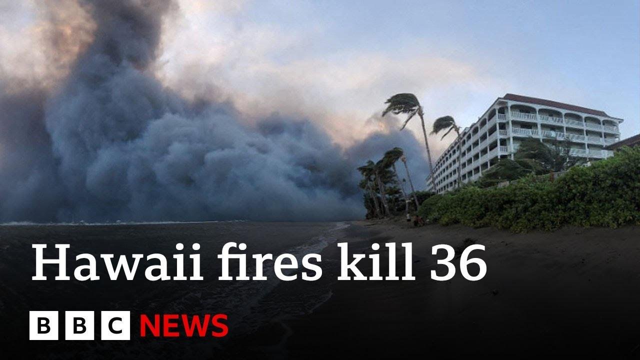 At least 36 killed as wildfires tear through Maui island in Hawaii - BBC News #hawaiiwildfire