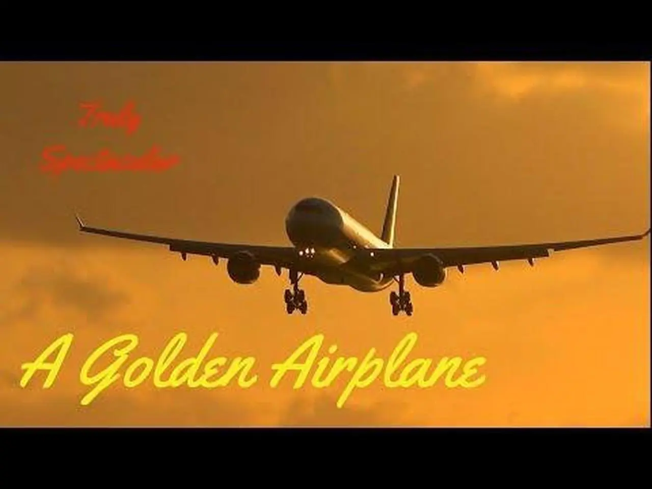 Truly Spectacular 😳 Airplane Spotting Montego Bay Jamaica