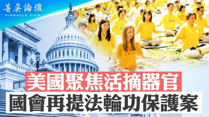美國聚焦活摘器官，國會再提法輪功保護案；法案是美國對抗中共重要武器；法輪功問題是中共的死穴；中共掌控活摘器官產業鏈【 #菁英論壇 】| #新唐人電視台 3/11/2025