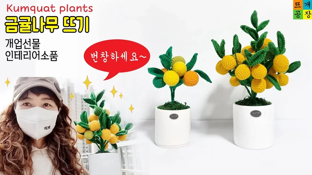 [crochet/코바늘]kumquat plants 금귤나무 뜨기/개업선물/인테리어 소품
