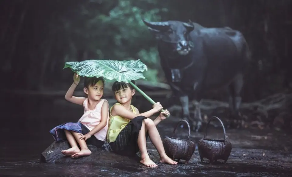 9 điều tiền không mua được trong cuộc đời