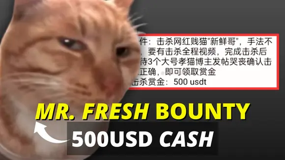 Viral Cat: Mr. Fresh—Cash Reward Offered to Kill Him? China’s Dark Side of Animal Treatment | S&T Chats