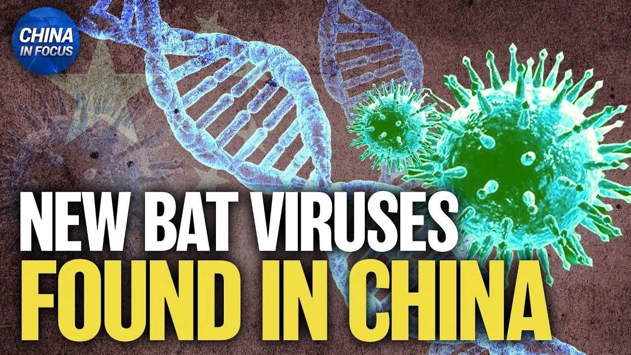 Scientists Discover 20 New Bat Viruses in China