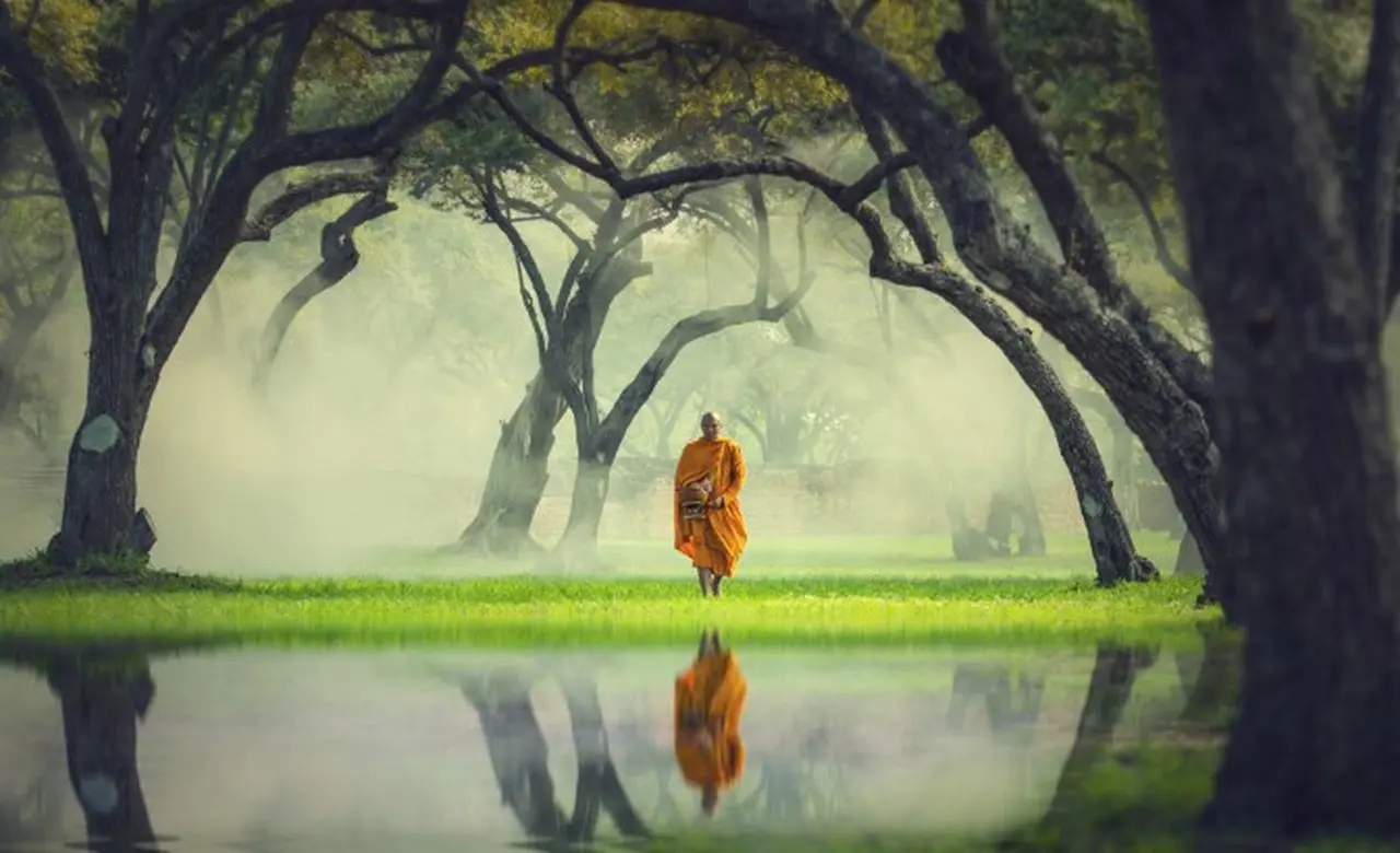 Sống thuận theo thiên đạo, ít tranh đấu thì họa tự rời xa