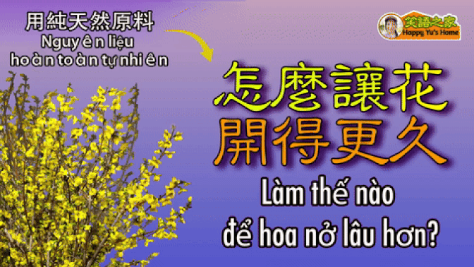 【Cuộc sống hữu cơ】Những nguyên liệu hoàn toàn tự nhiên nào giúp hoa nở lâu hơn? | Bảo quản hoa mà không cần dùng hóa chất như