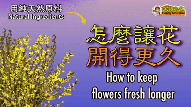 【Organic Living】Which Natural Ingredients Help Flowers Last Longer? | How to Keep Flowers Fresh Without Chemicals