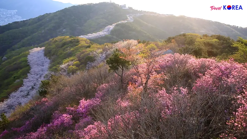 GJW #SpringIntoTravel Contest Highlights