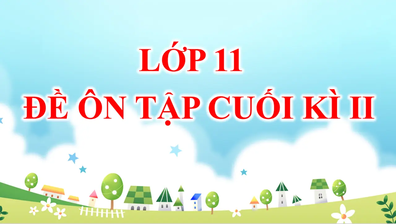 ĐỀ ÔN TẬP CUỐI KÌ II - LỚP 11 - 2024-2025