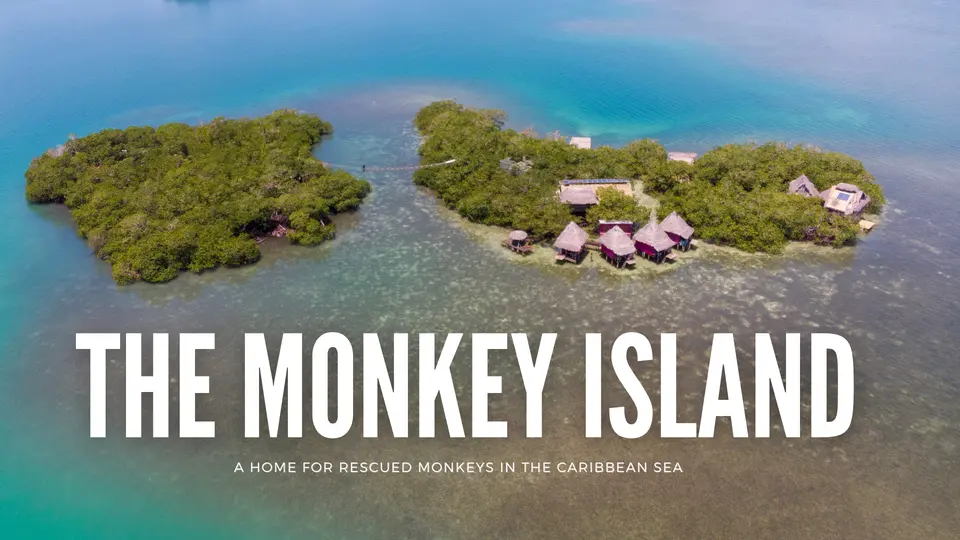 The Monkey Island