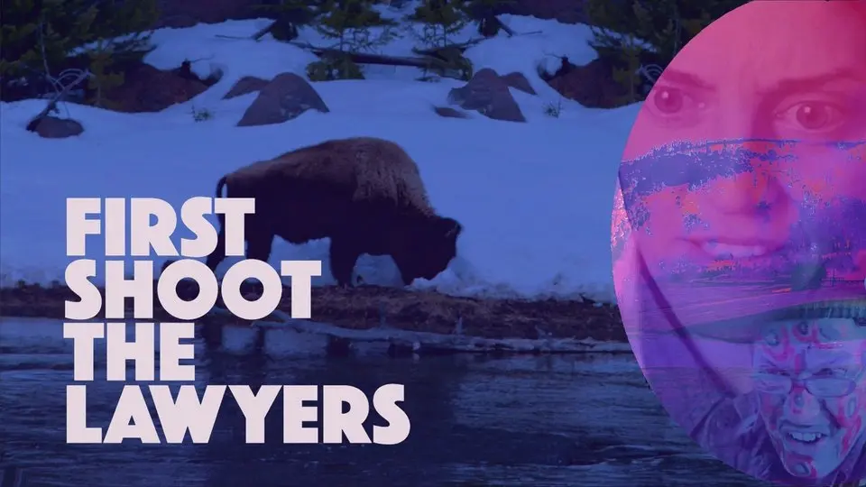 First Shoot the Lawyers