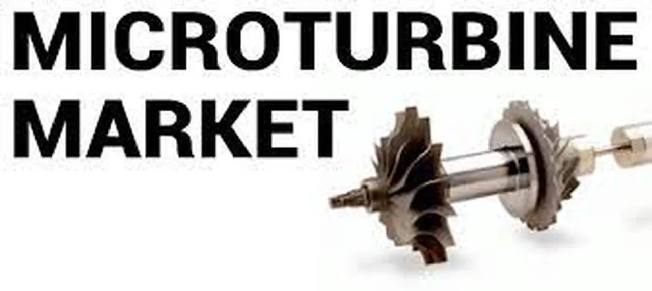 Unlocking Microturbine Market Growth Potential 2025: Size and Strategic Insights
