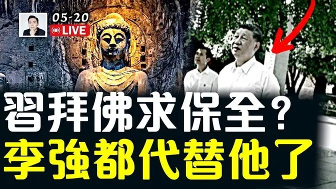 习近平游龙门石窟、白马寺,拜佛求保全?很多事他现在都做不了了,李强在做|大宇拍案惊奇 live!