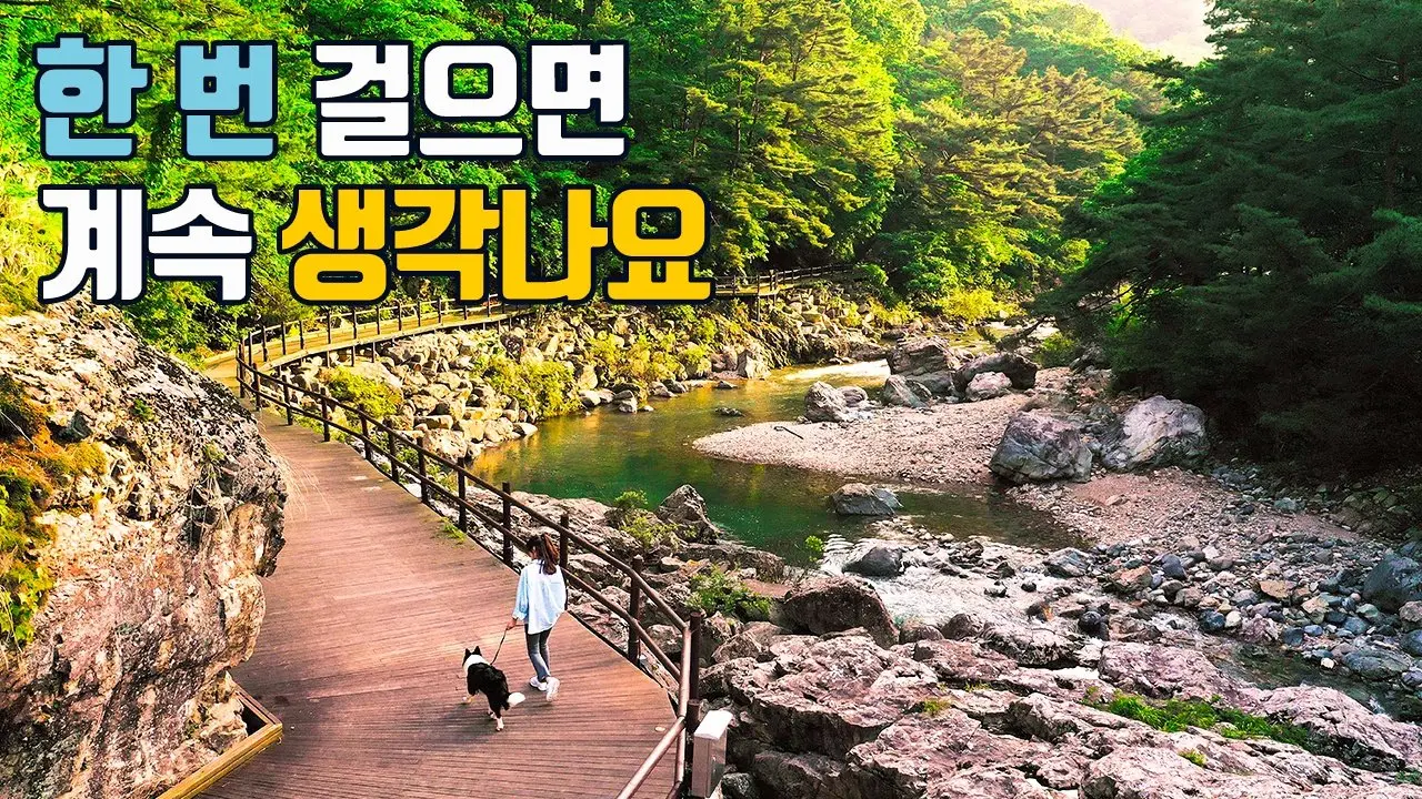 트레킹 고수들이 극찬한 길🏔️ 여기가 그렇게 좋다고?😲 편안함부터 스릴까지, 5가지 매력의 산책로🚶‍♂️
