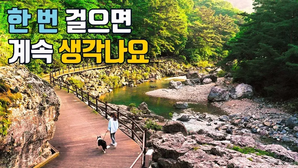 트레킹 고수들이 극찬한 길🏔️ 여기가 그렇게 좋다고?😲 편안함부터 스릴까지, 5가지 매력의 산책로🚶‍♂️