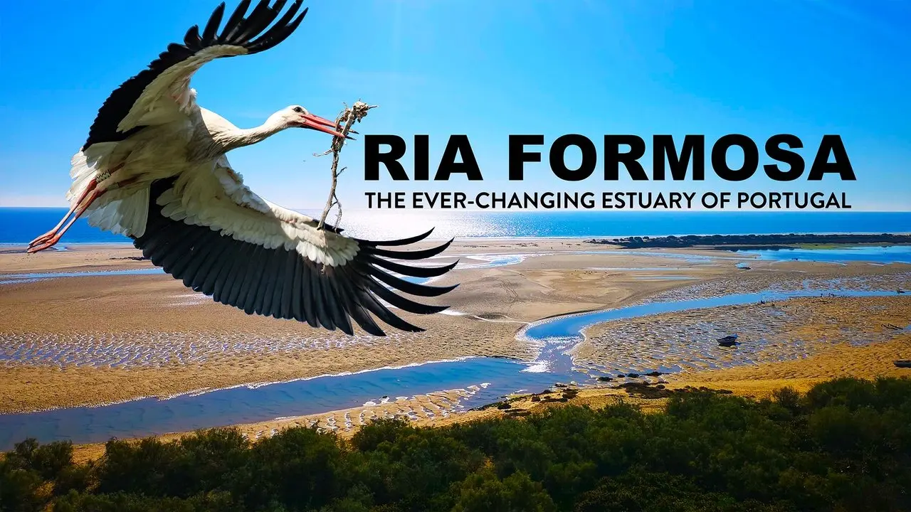 Ria Formosa, the ever-changing estuary of Portugal